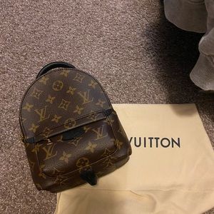 Louis Vuitton Palm Springs mini